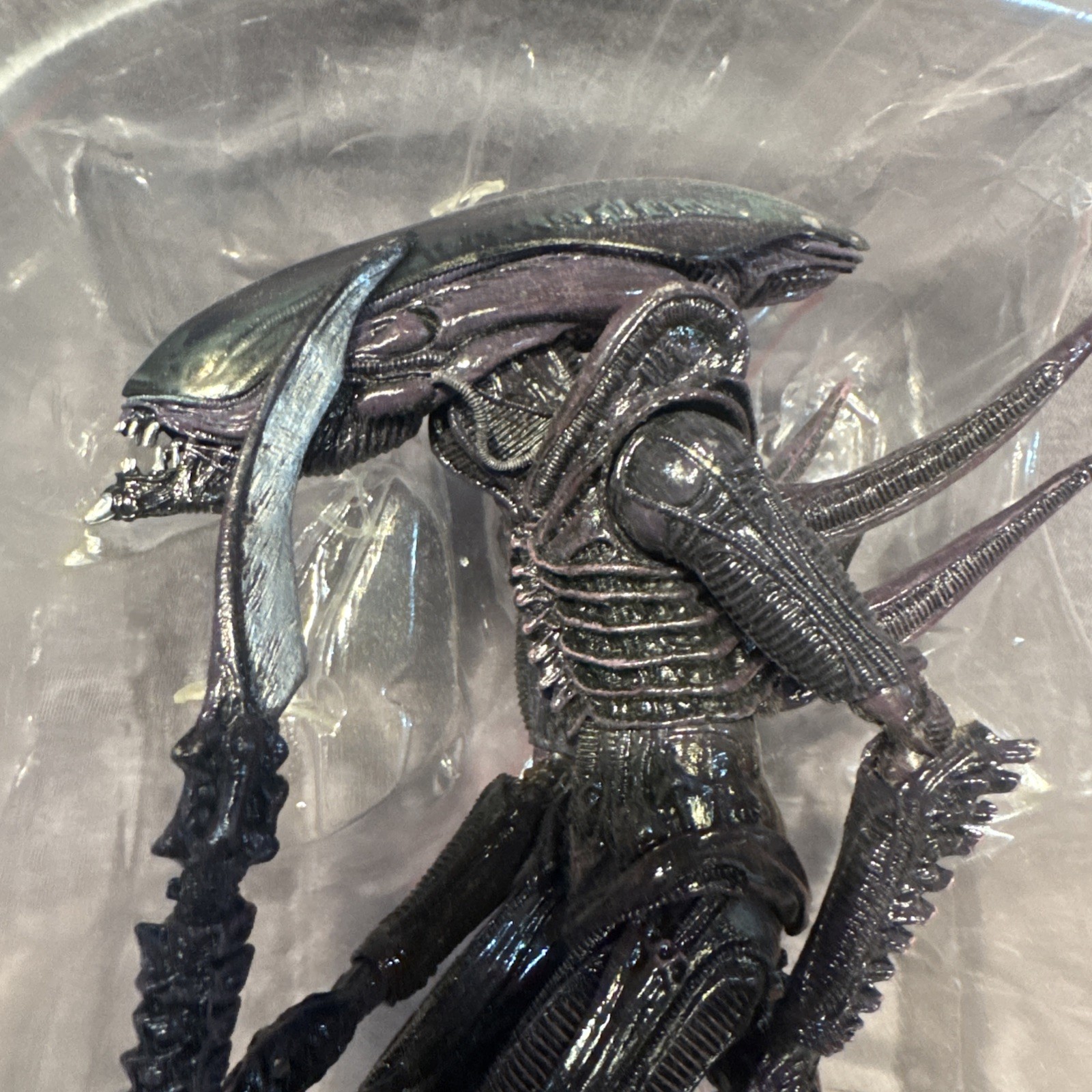 Alien vs Predator – 7&Prime; Scale Action Figure – Razor Claws Alien