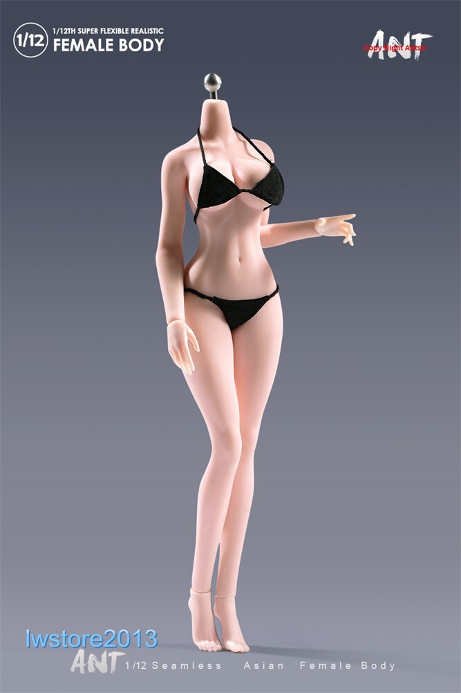 US ANT 1:12 Pale Large Bust Plump Hip 6&Prime; Seamless Female Action Figure Body Toys