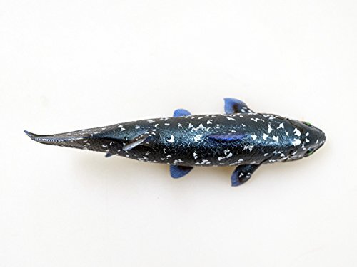 Coelacanth Soft Model (FF-001) 18.5×5.6×10.5cm toy figure fish Favorite Japanese