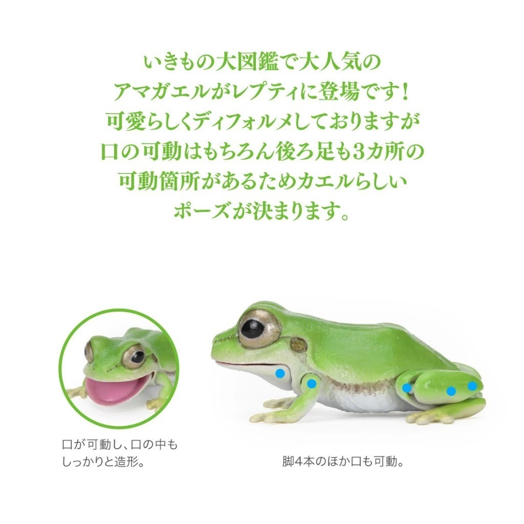 Bandai Japan Living Creatures Encyclopedia Repti Tree Frog Complete Frog Gacha