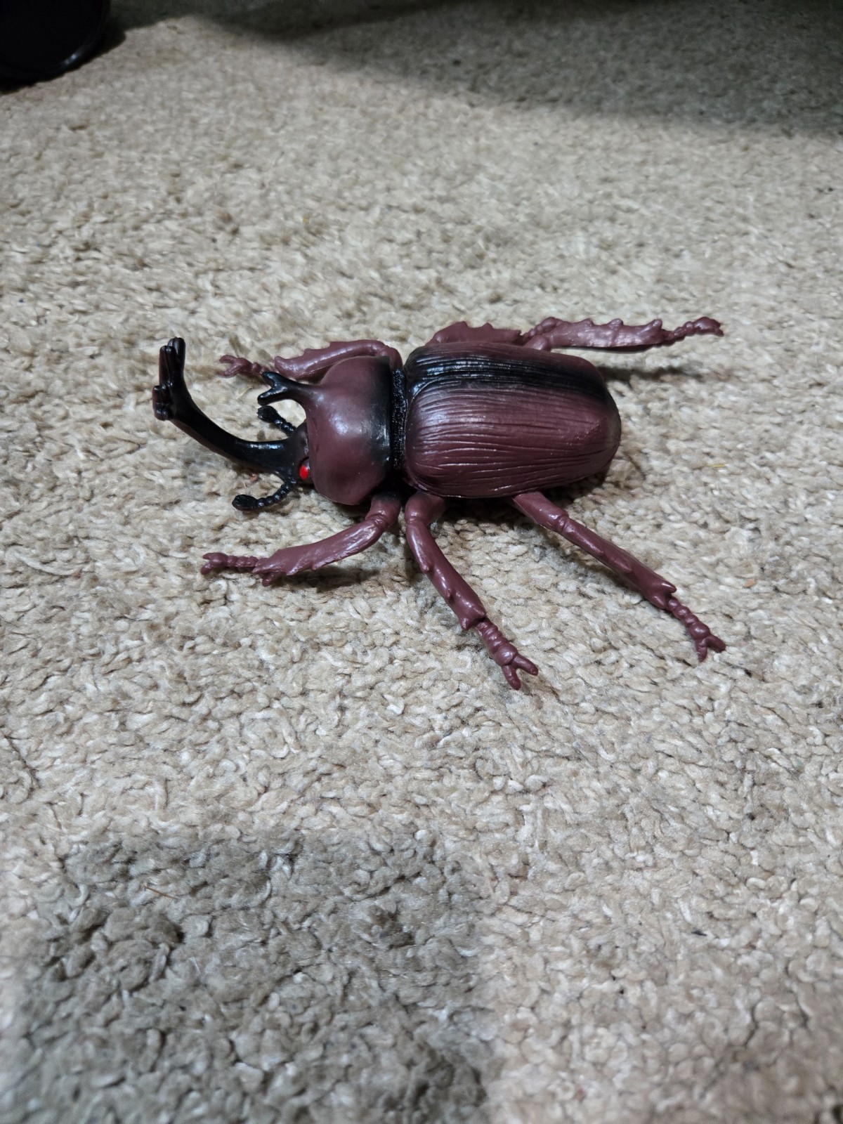 Greenbriar International Japanese Rhinoceros Beetle – 5.5 Inches