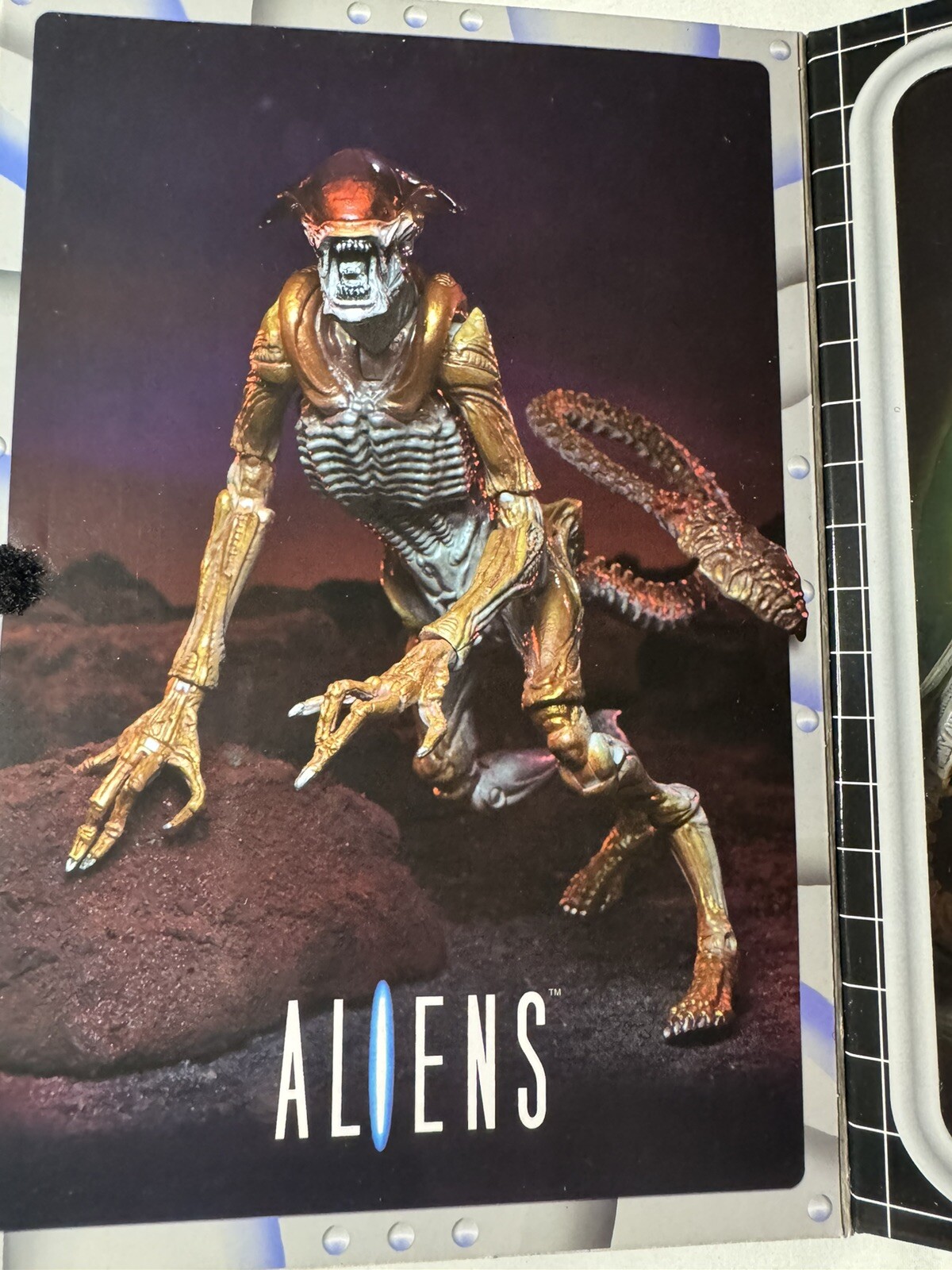 NECA Aliens Ultimate Panther Alien Action Figure w/ Magnetic Kamikaze Parasite