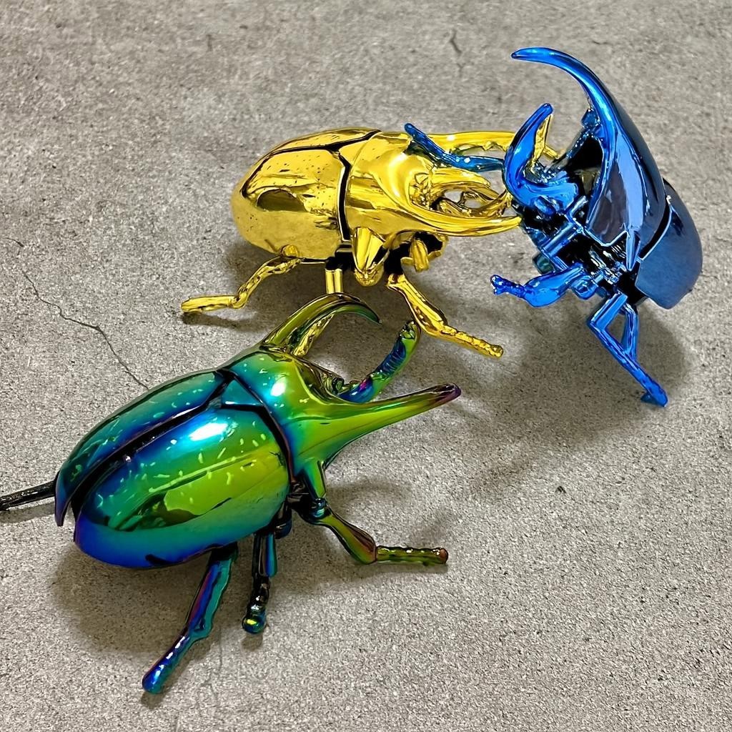 Kids Insect Toy Set Beetle Figures Educational Science Bug Animal Model Kit