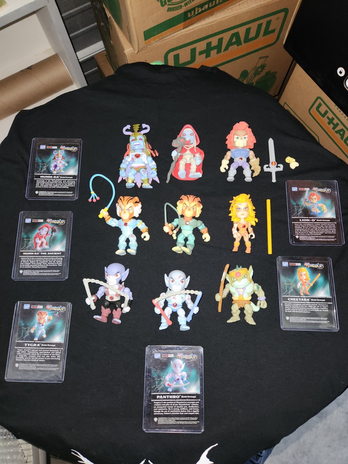 Thundercats Loyal Subjects Lot Battle Damage