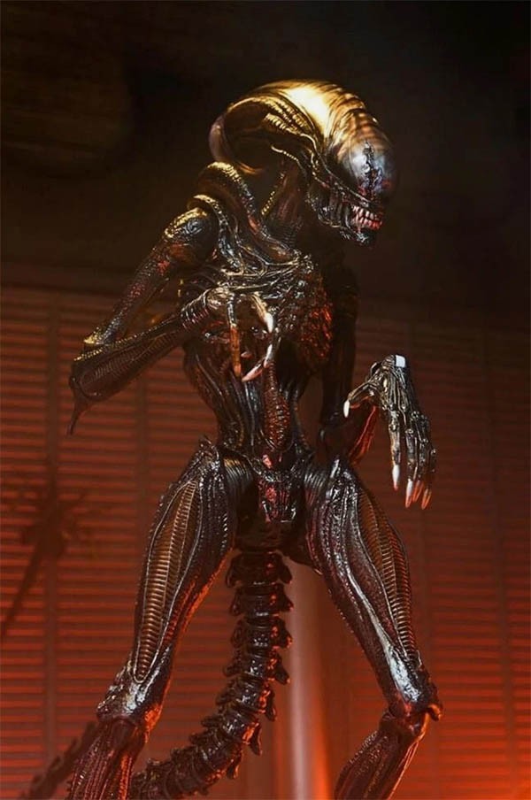 Neca Alien Romulus Scorched Xenomorph 7&Prime; Action Figure Movie 1:12 Scale New