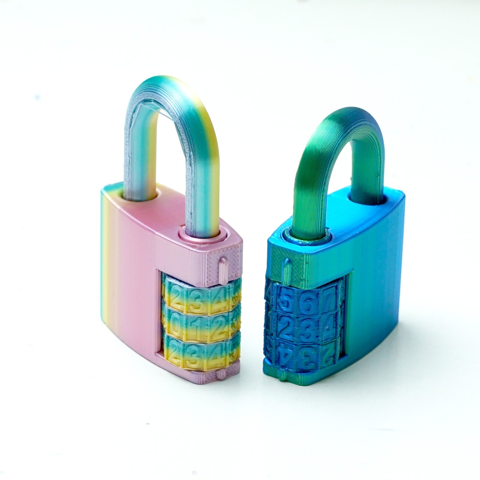 2PCS 3D Printed Lock Model,Articulated Animals figure,Fidget Toys Home Decor
