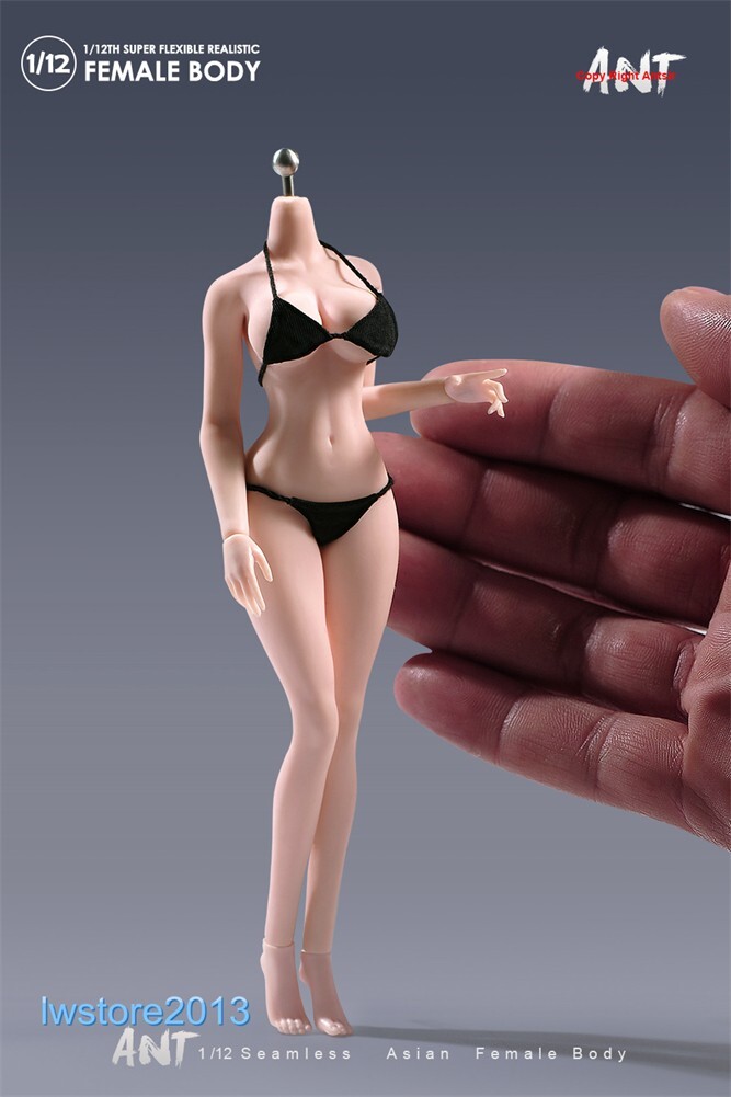 US ANT 1:12 Pale Large Bust Plump Hip 6&Prime; Seamless Female Action Figure Body Toys