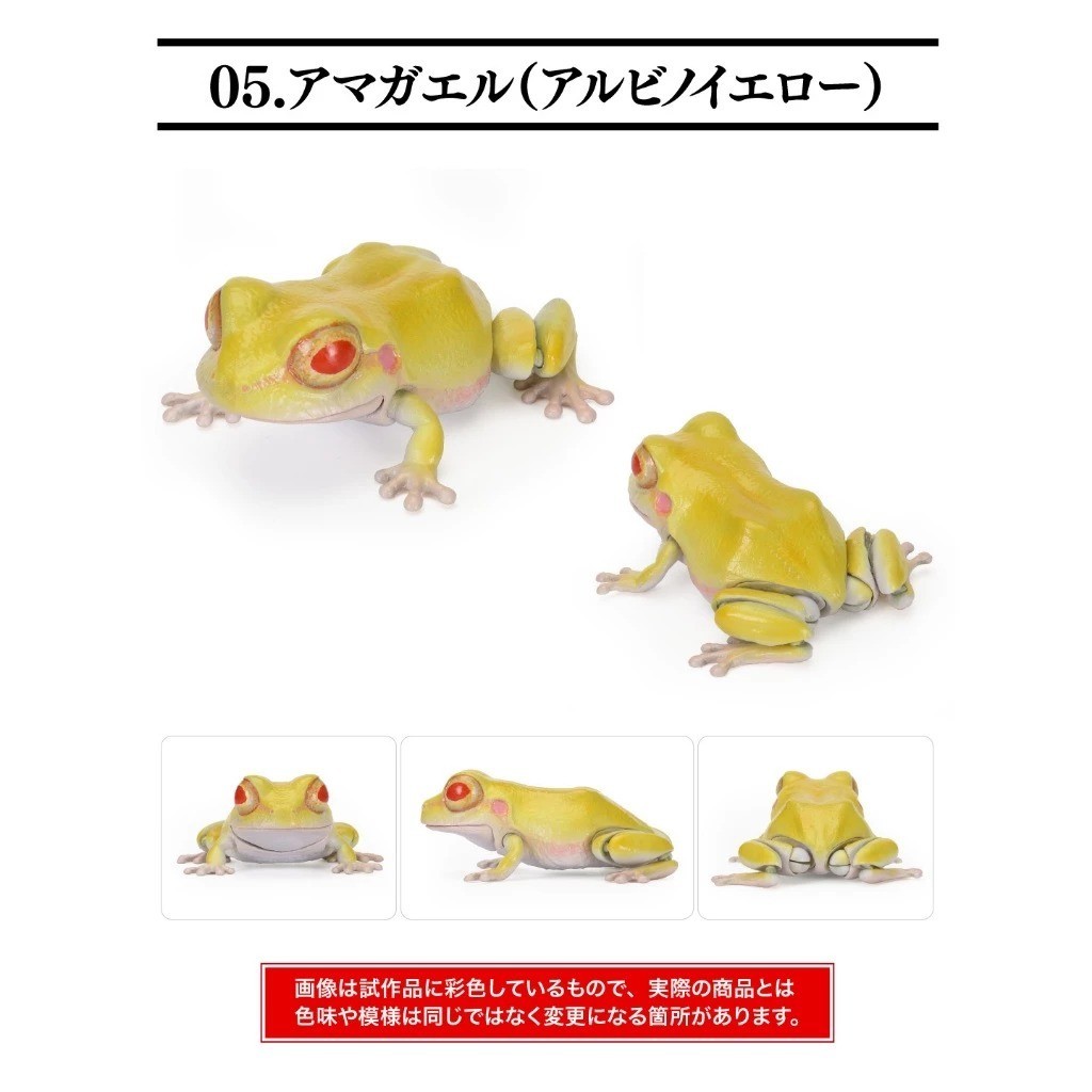 Bandai Japan Living Creatures Encyclopedia Repti Tree Frog Complete Frog Gacha