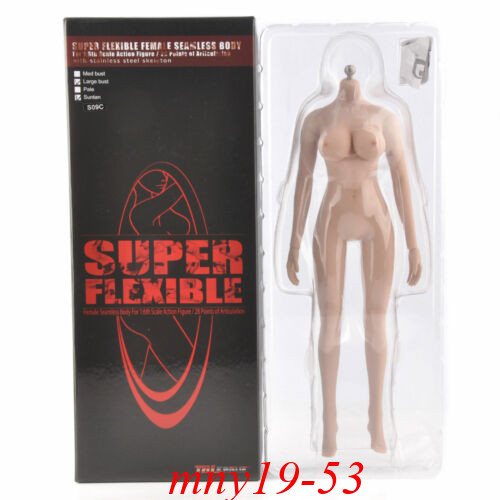 1/6 TBLeague S09C PH Female Figure Body Model Suntan Large Bust Doll Toy