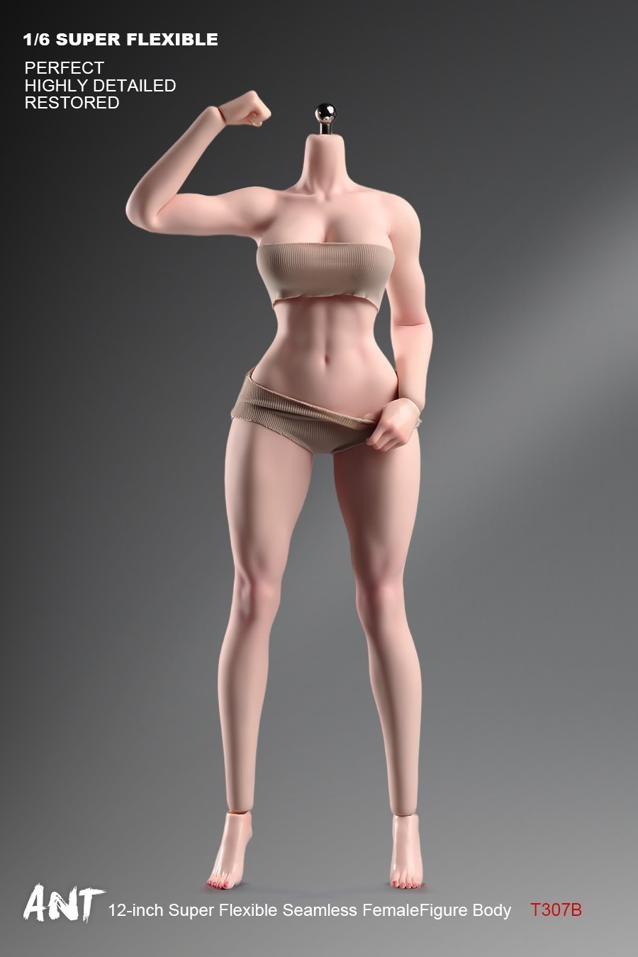 New ANT T307 1/6 Female Normal Sexy Large Bust Muscle Plump Body For 12 »Figure
