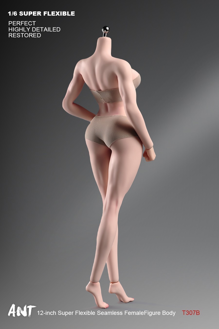 New ANT T307 1/6 Female Normal Sexy Large Bust Muscle Plump Body For 12 »Figure