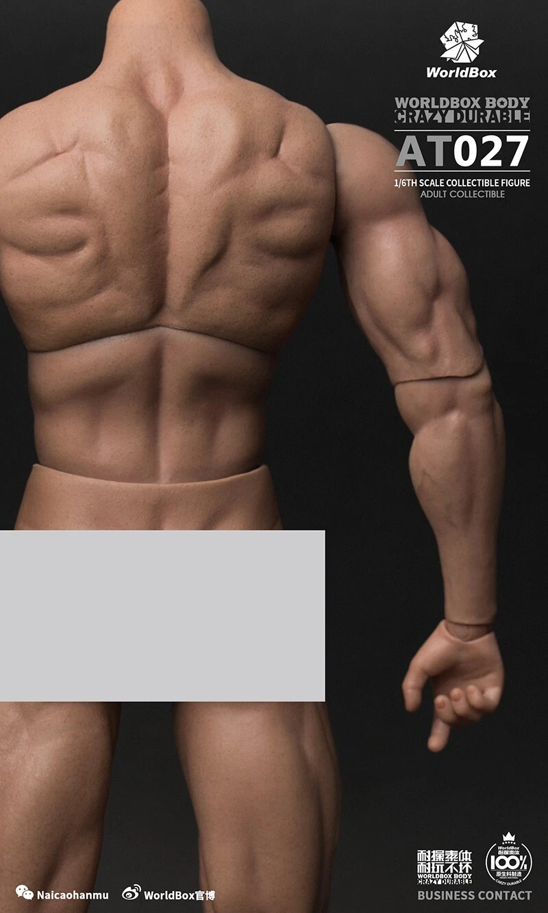 WorldBox World Box 1/6 Scale 12&Prime; Crazy Durable Male Body WB-AT027 New