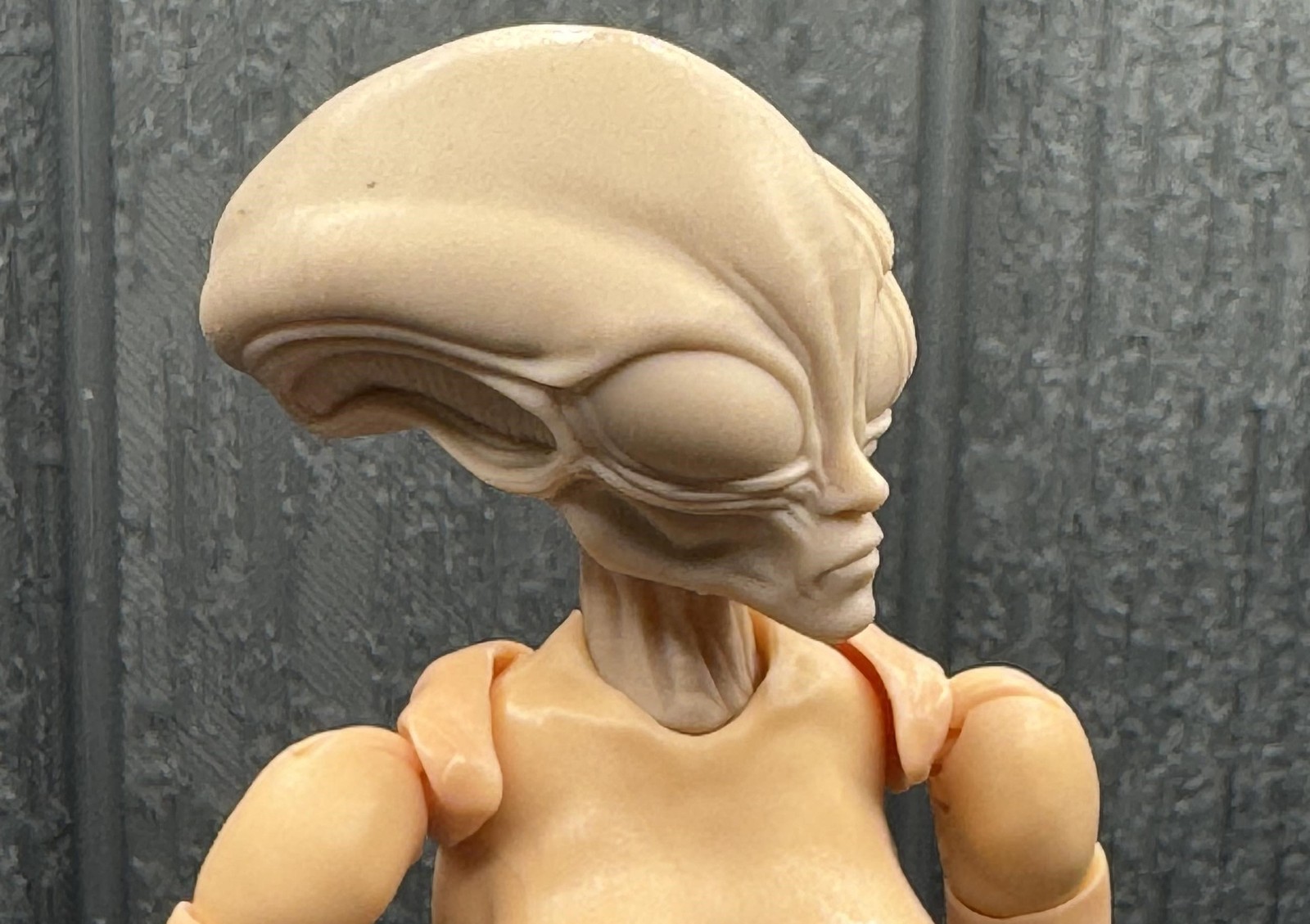1/6 Scale Head [Unpainted]: Alien (Female Gray)