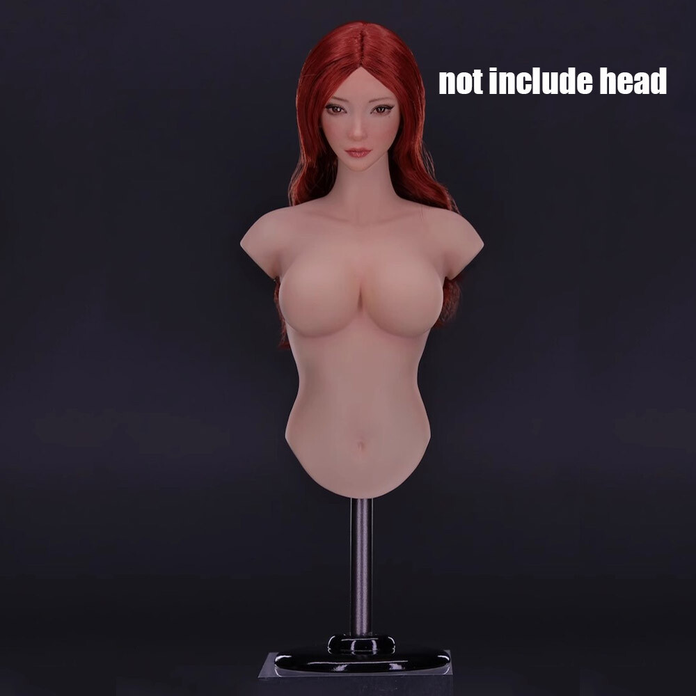 1/6 Female Body Bust Figure Doll Bust Display Stand for Resin Kit W/bracket USA