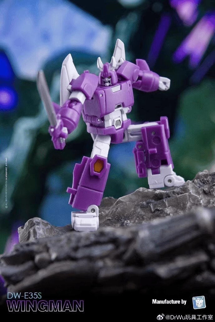 Dr Wu Customs DW-E35S Wingman Cyclonus DW-E34M Wasp Bee Action Figure in stock