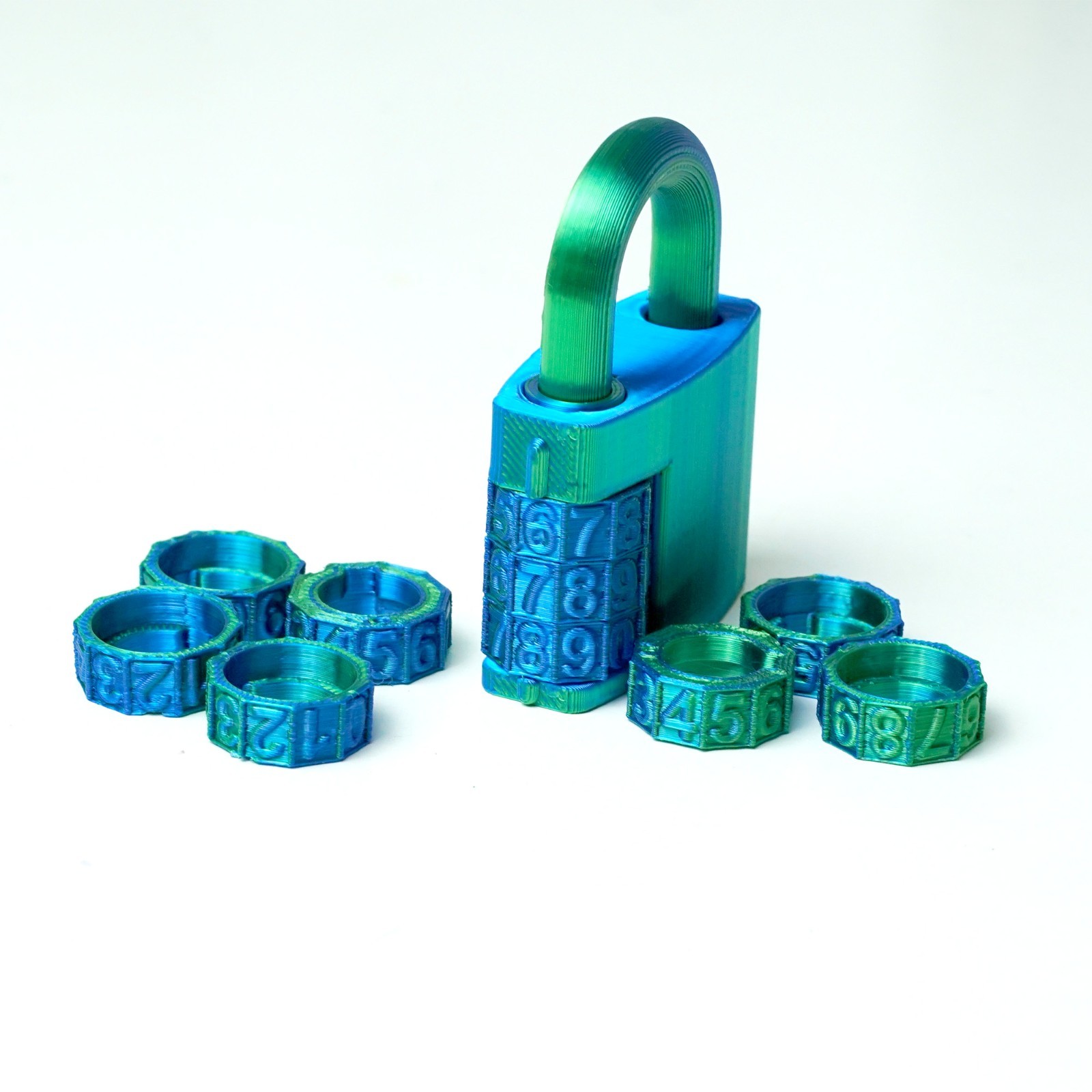 2PCS 3D Printed Lock Model,Articulated Animals figure,Fidget Toys Home Decor