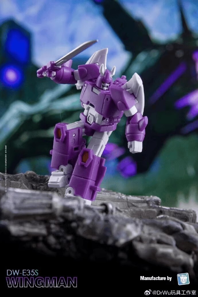 Dr Wu Customs DW-E35S Wingman Cyclonus DW-E34M Wasp Bee Action Figure in stock