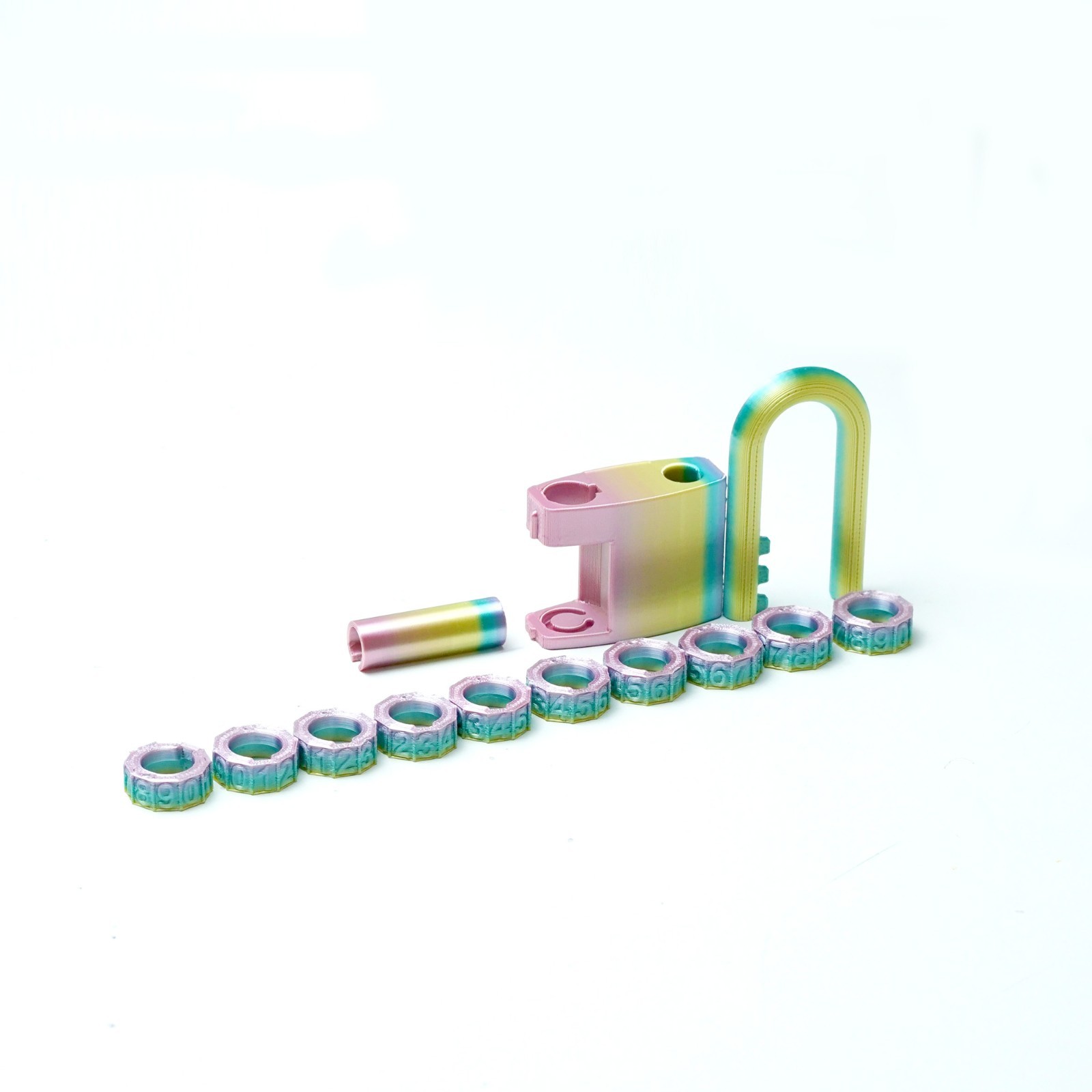 2PCS 3D Printed Lock Model,Articulated Animals figure,Fidget Toys Home Decor
