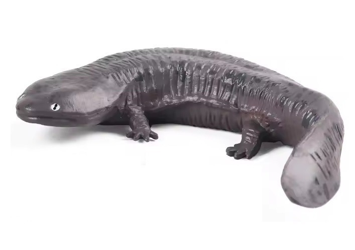 Salamander Fish Toy Action Figure Small Animal Figurine Doll Gift for Kids