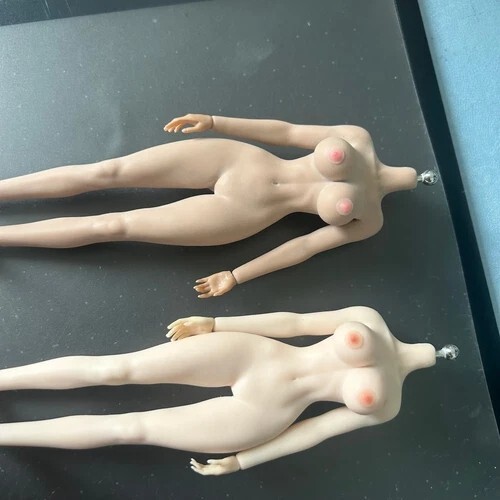 1/12 Female Nipple Breast Chest Vagina Patches Accessories For 6 » Figure Body