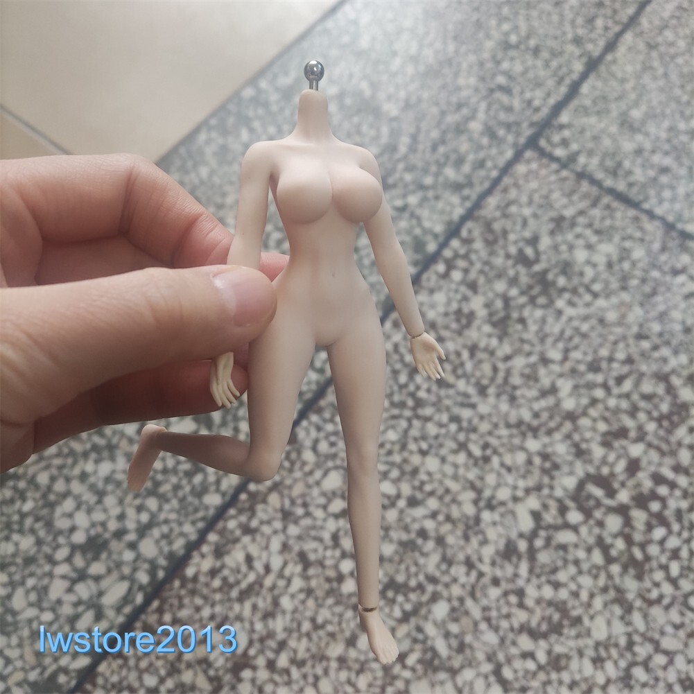 US ANT 1:12 Pale Large Bust Plump Hip 6&Prime; Seamless Female Action Figure Body Toys