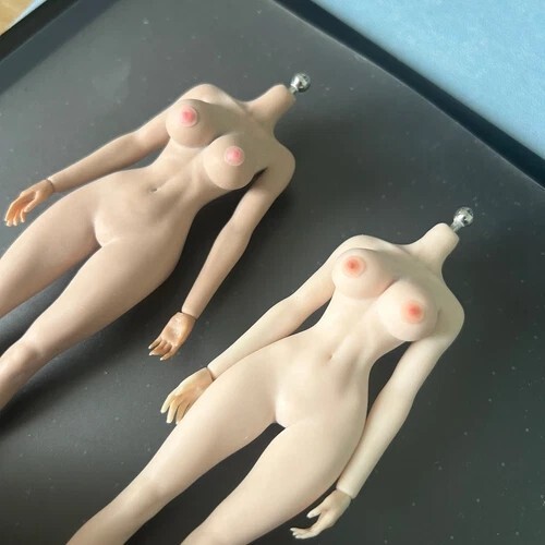 1/12 Female Nipple Breast Chest Vagina Patches Accessories For 6 » Figure Body