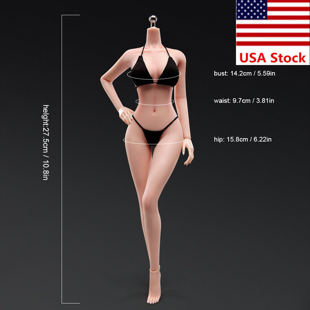 US 1/6 Medium Bust Makeup Flexible Joint Seamless Female Figure Body Model Toy