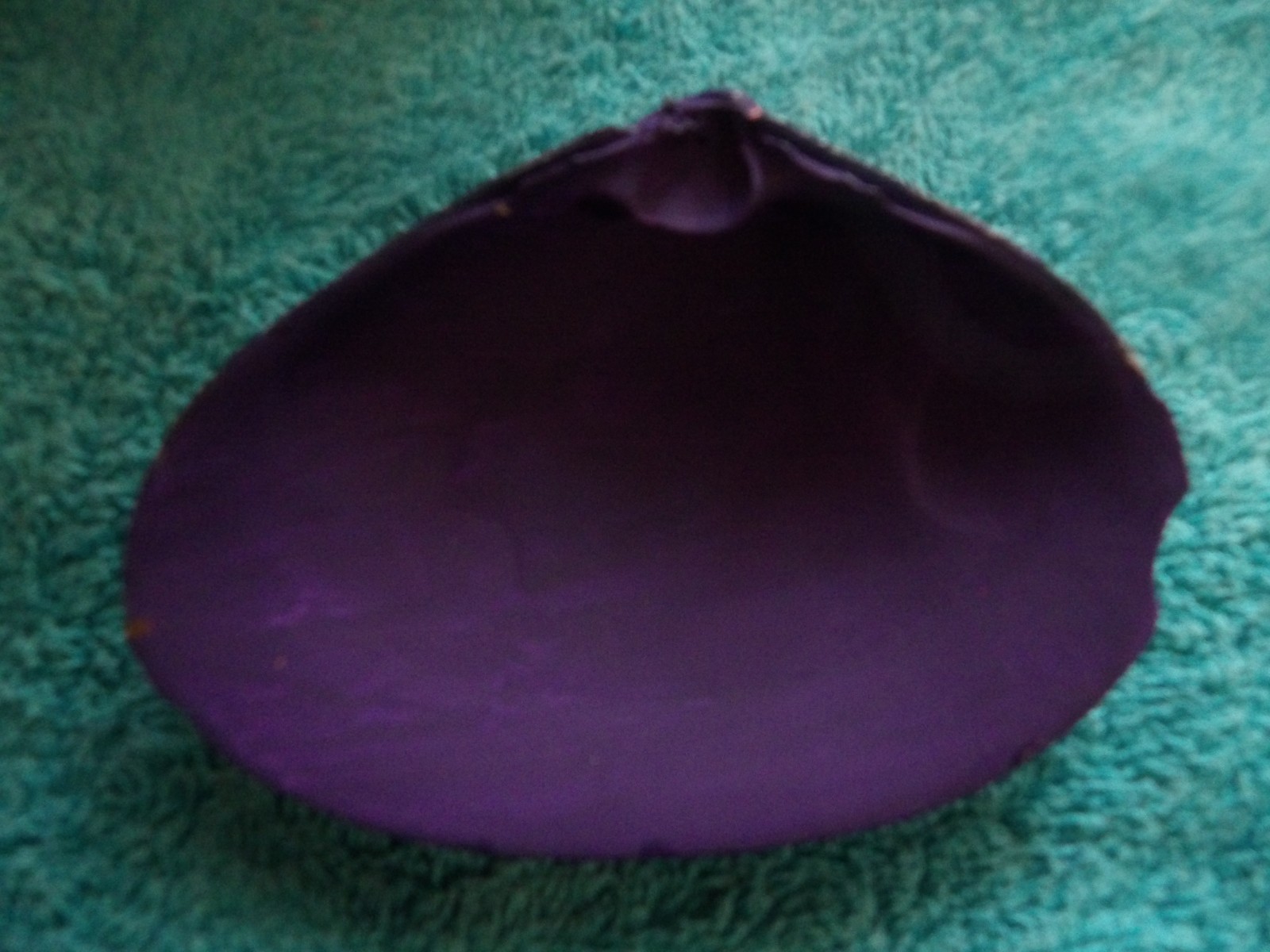 Magic By The Seashell, Enchanted & Powerful Seashells, You Choose Color & Intent