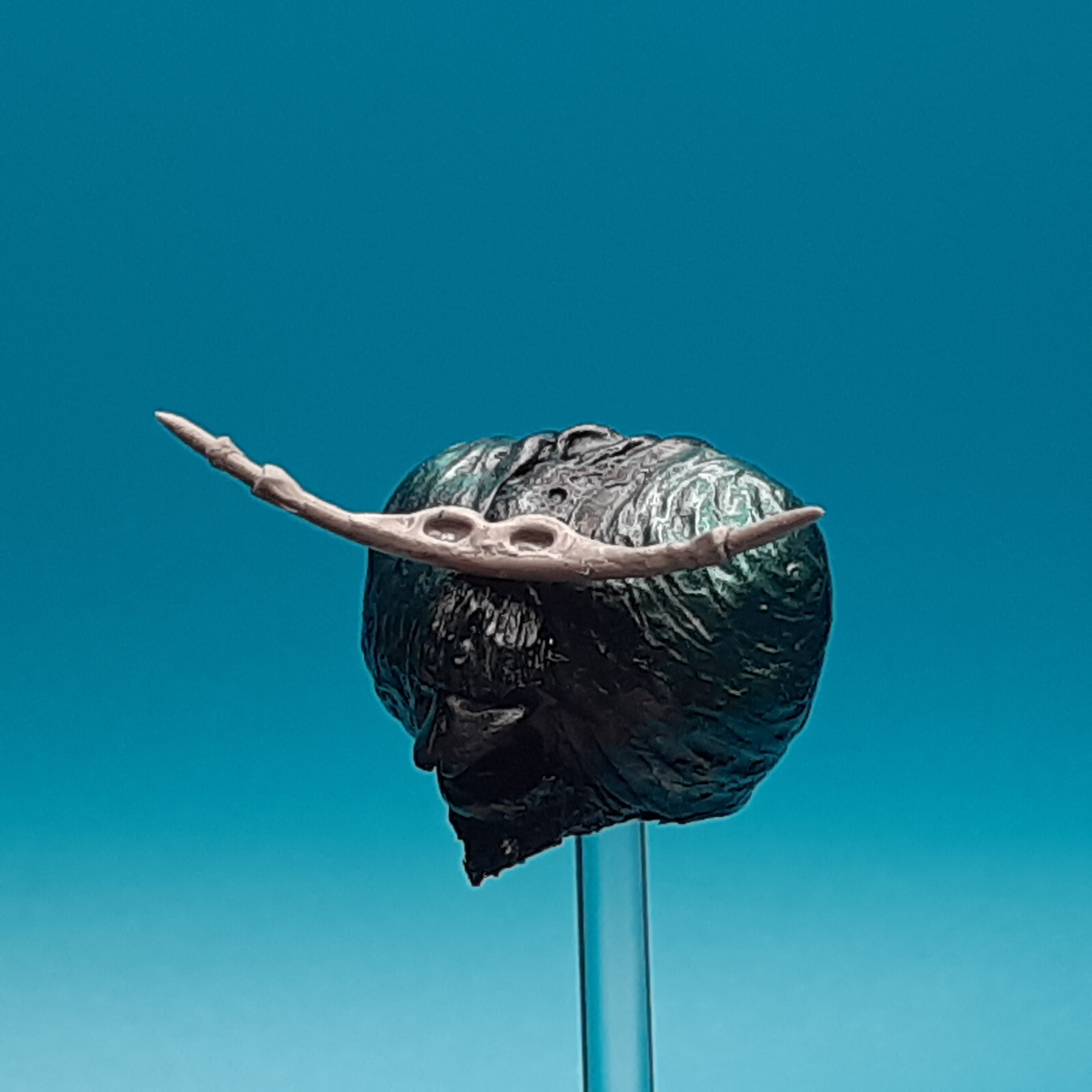 Star Wars Tzizvvt (Fly Guy) Cantina Alien Custom Head Cast TVC 3-3/4&Prime; 1:18Scale