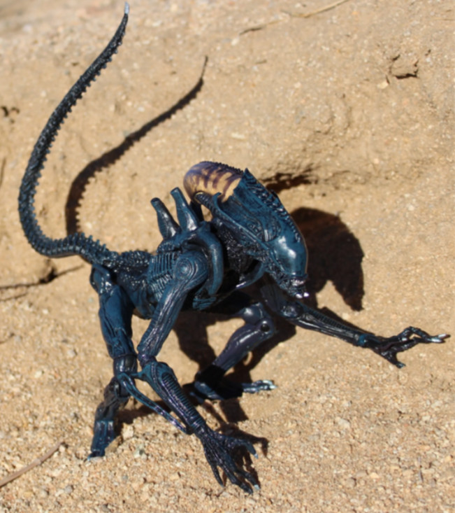 NECA ALIENS FIGURE ARACHNOID ALIEN