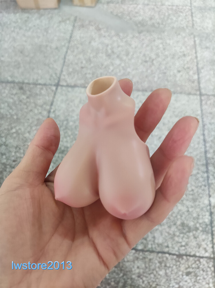 1:6 Big Bust Breast Cover Replacement Model For 12 » Female PH TBL Figure Body