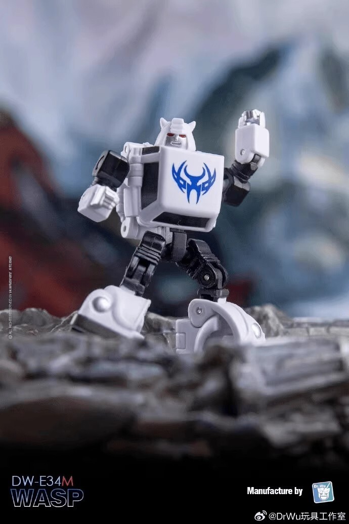 Dr Wu Customs DW-E35S Wingman Cyclonus DW-E34M Wasp Bee Action Figure in stock