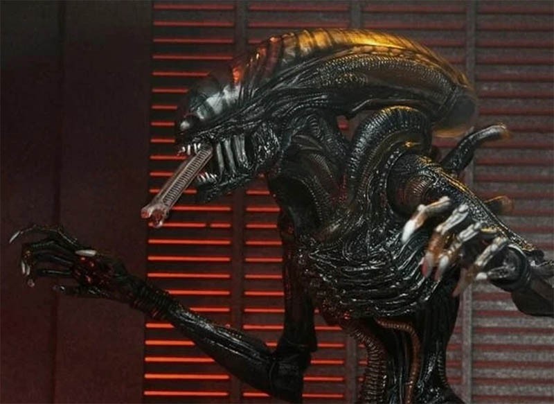 Neca Alien Romulus Scorched Xenomorph 7&Prime; Action Figure Movie 1:12 Scale New
