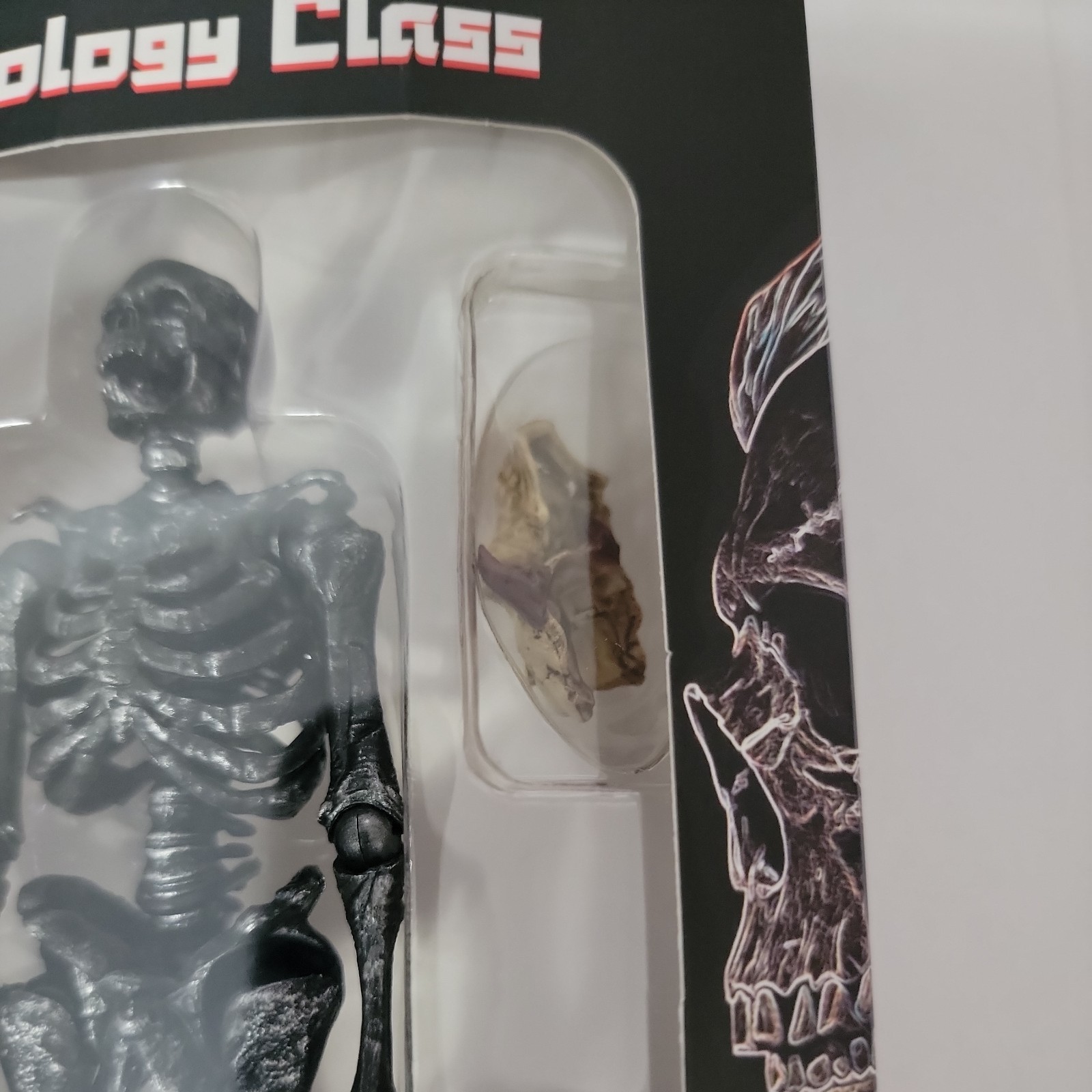 KEEPGOING Biology Classroom Human Skeleton Articulated Model 1/12 Figure Black