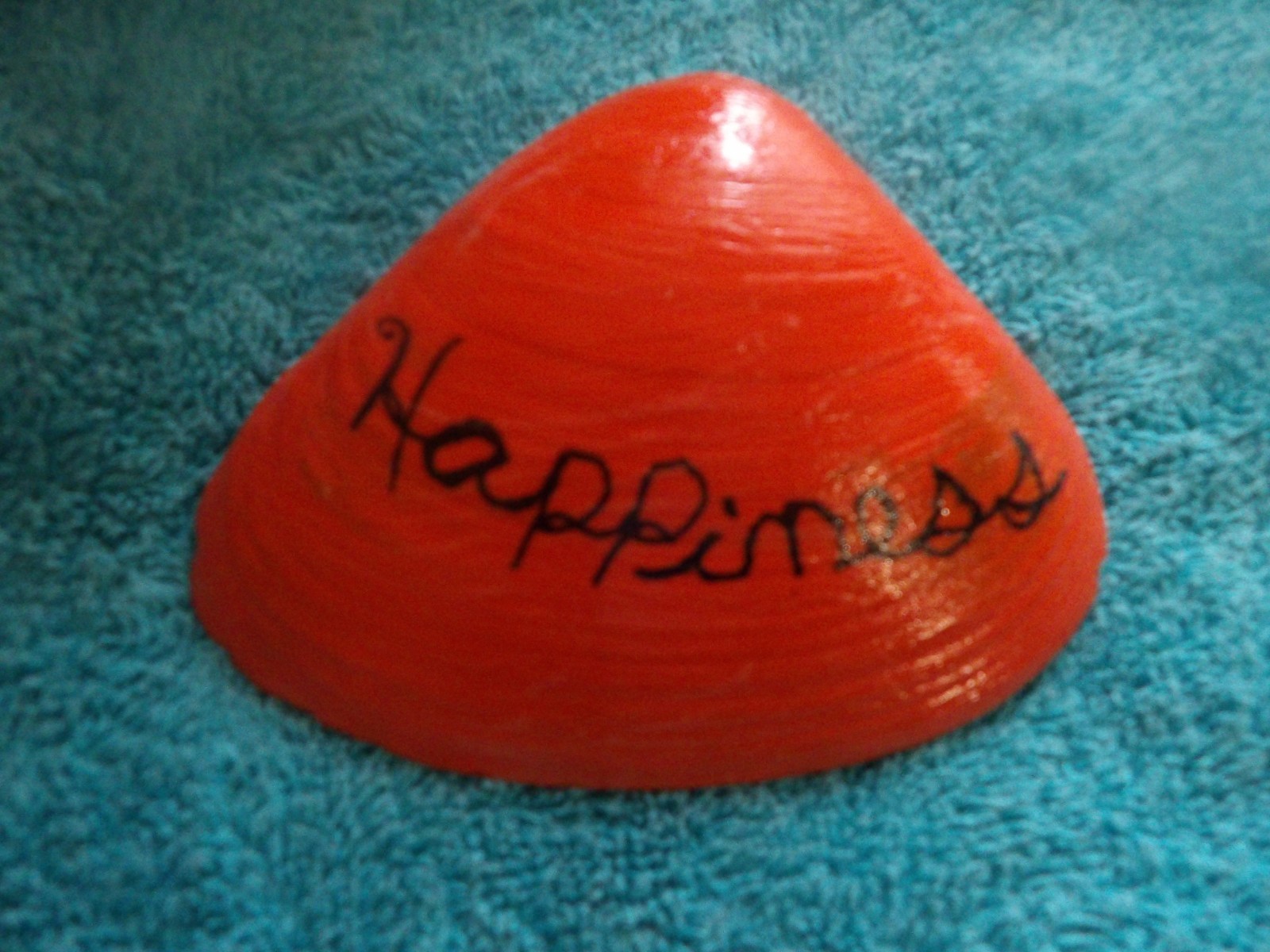 Magic By The Seashell, Enchanted & Powerful Seashells, You Choose Color & Intent