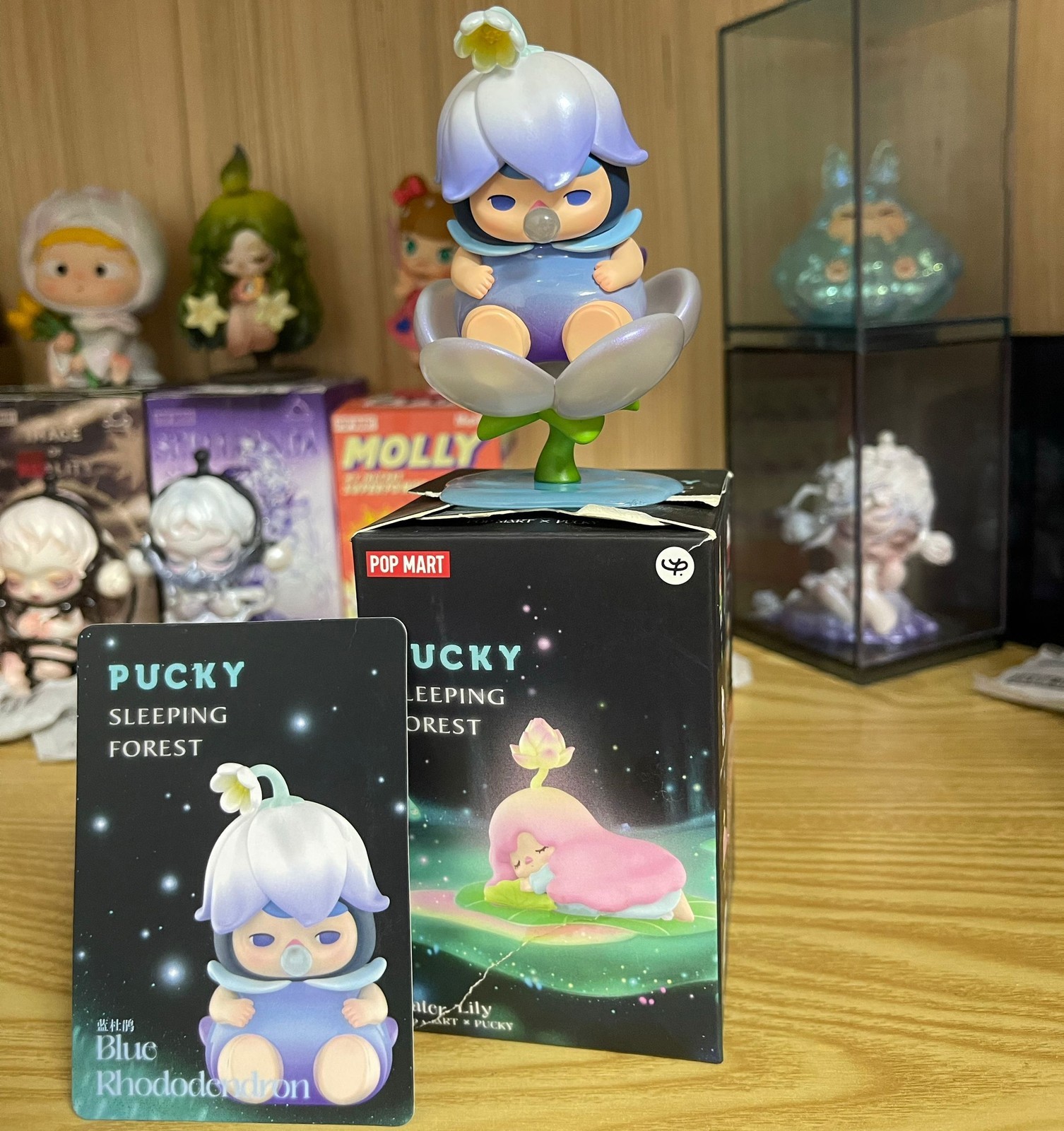 Authentic Pucky Sleeping Forest Series Blind Box Confirmed Figure Art Toy Gift