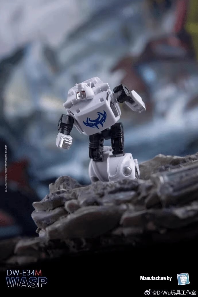 Dr Wu Customs DW-E35S Wingman Cyclonus DW-E34M Wasp Bee Action Figure in stock