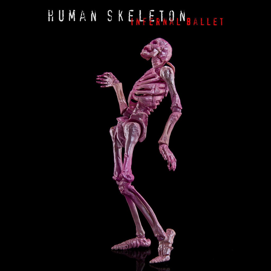 HIPLAY KEEPGOING Biology Classroom Human Skeleton Articulated Model 1/12 Figure