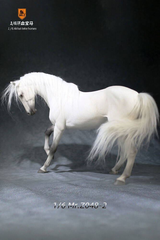 Mr.Z 1/6 Scale Animal Resin Simulation Toy Akhal-Teke Horse Figure 6 Color Model