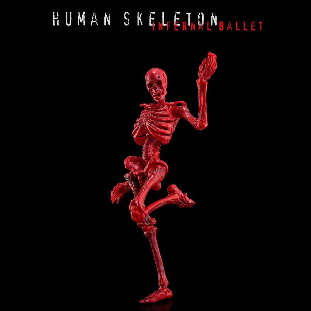 HIPLAY KEEPGOING Biology Classroom Human Skeleton Articulated Model 1/12 Figure