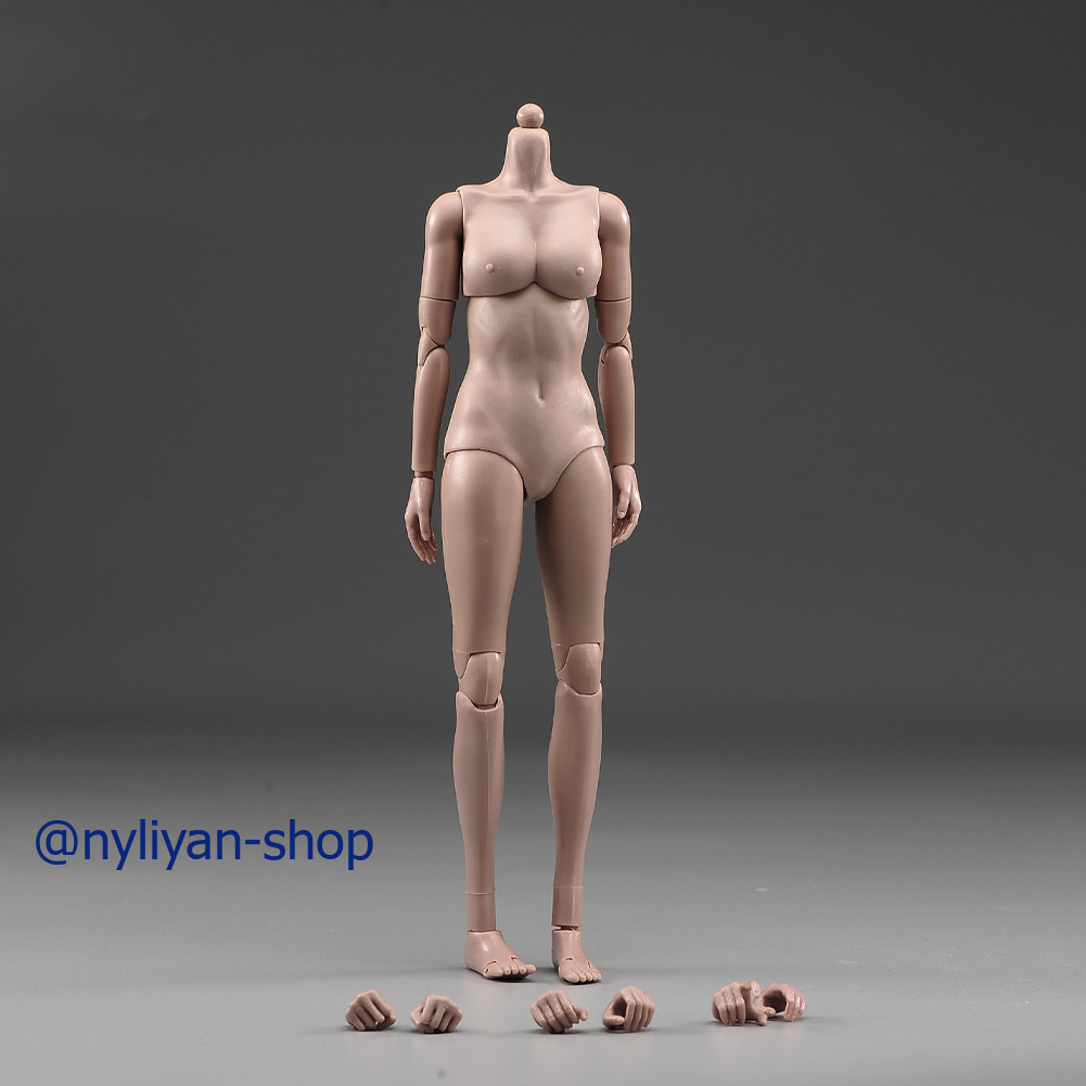 1/6 Female Middle Chest Suntan Skin 12 »Flexible Body Action Figure Model Toy