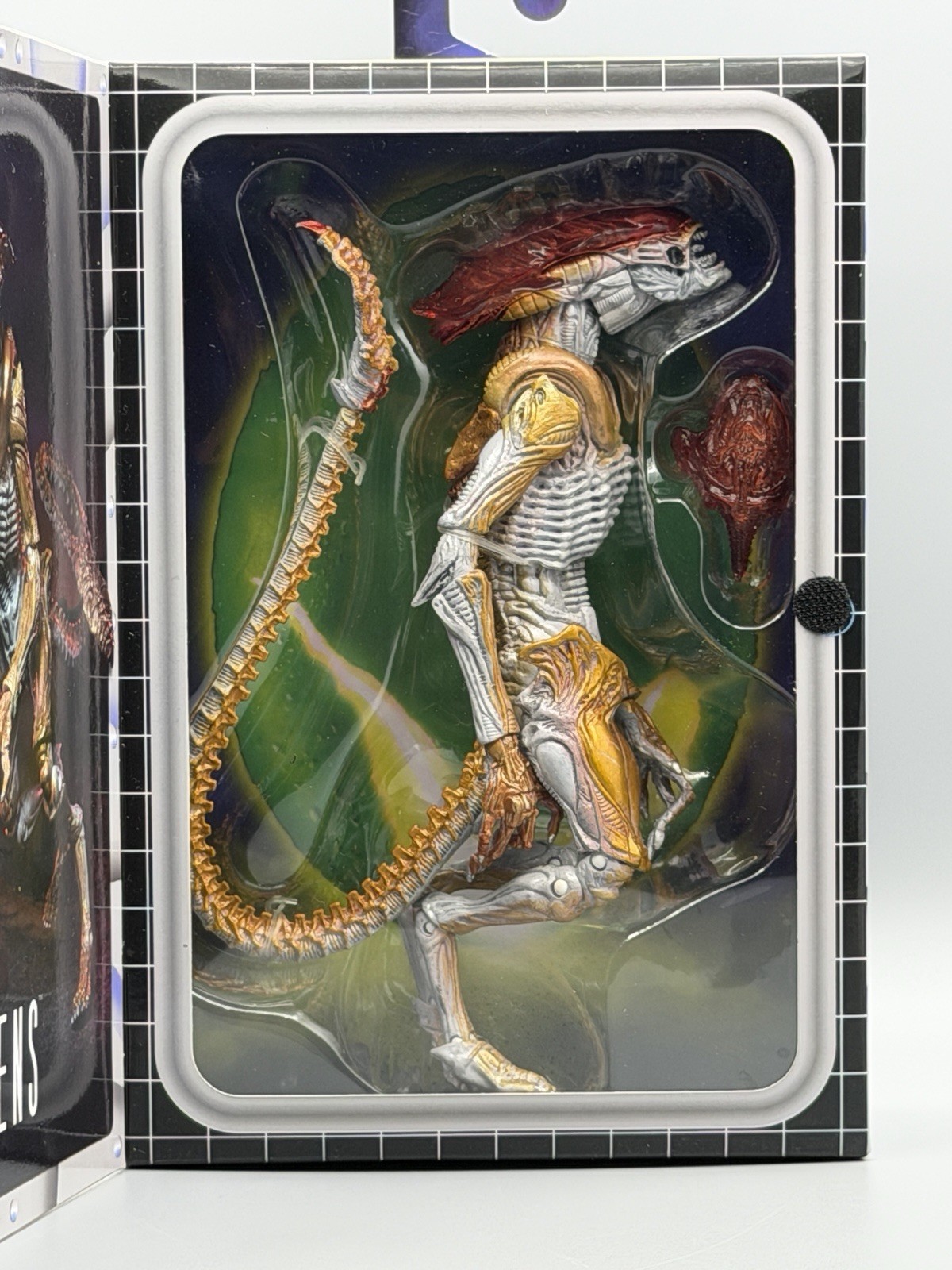 Aliens Panther Alien With Magnetic Attack Parasite 7” Action Figure Neca 2022