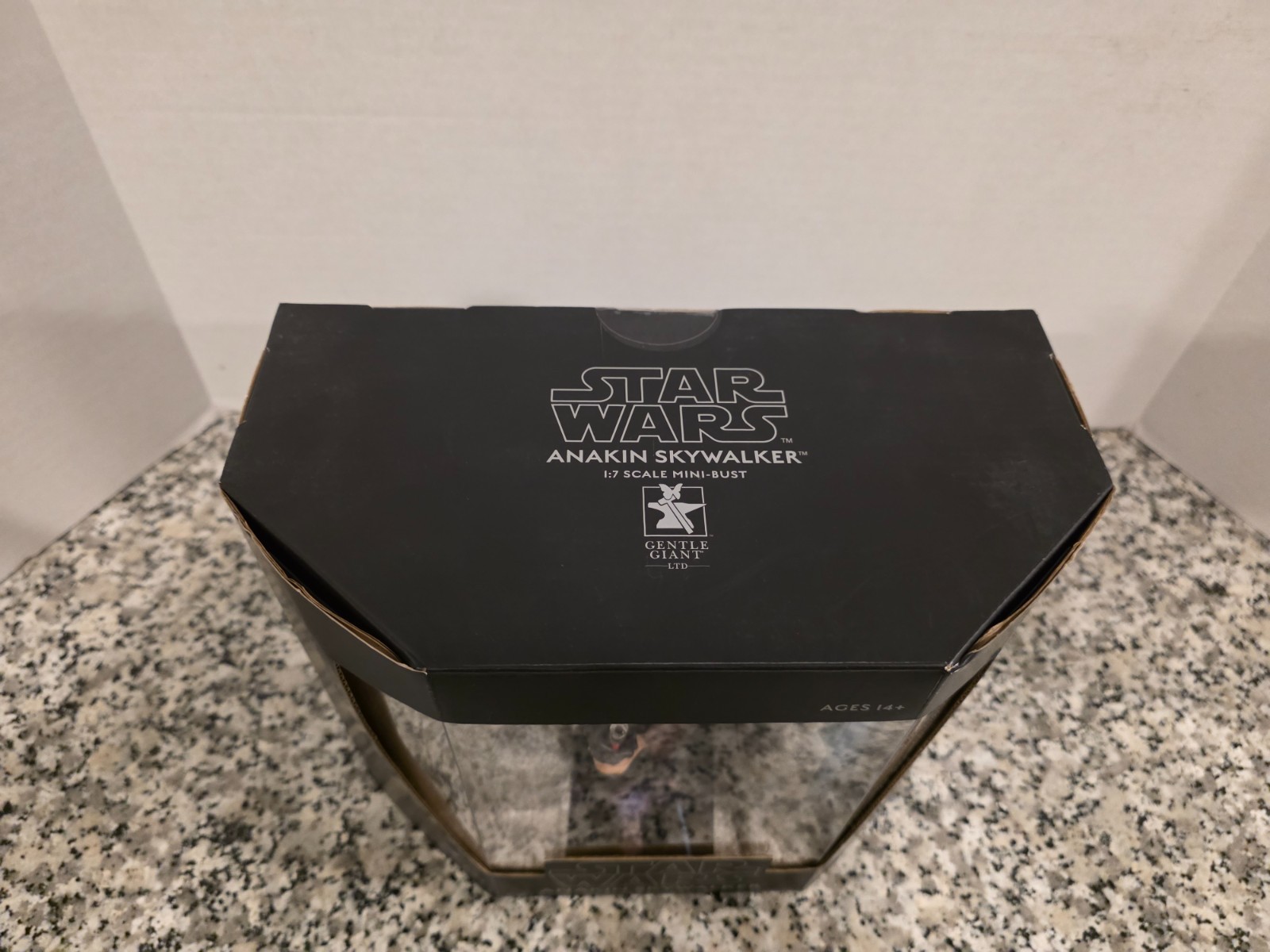 Anakin Skywalker Mini Bust GENTLE GIANT STAR WARS Diamond Select MIB NEW