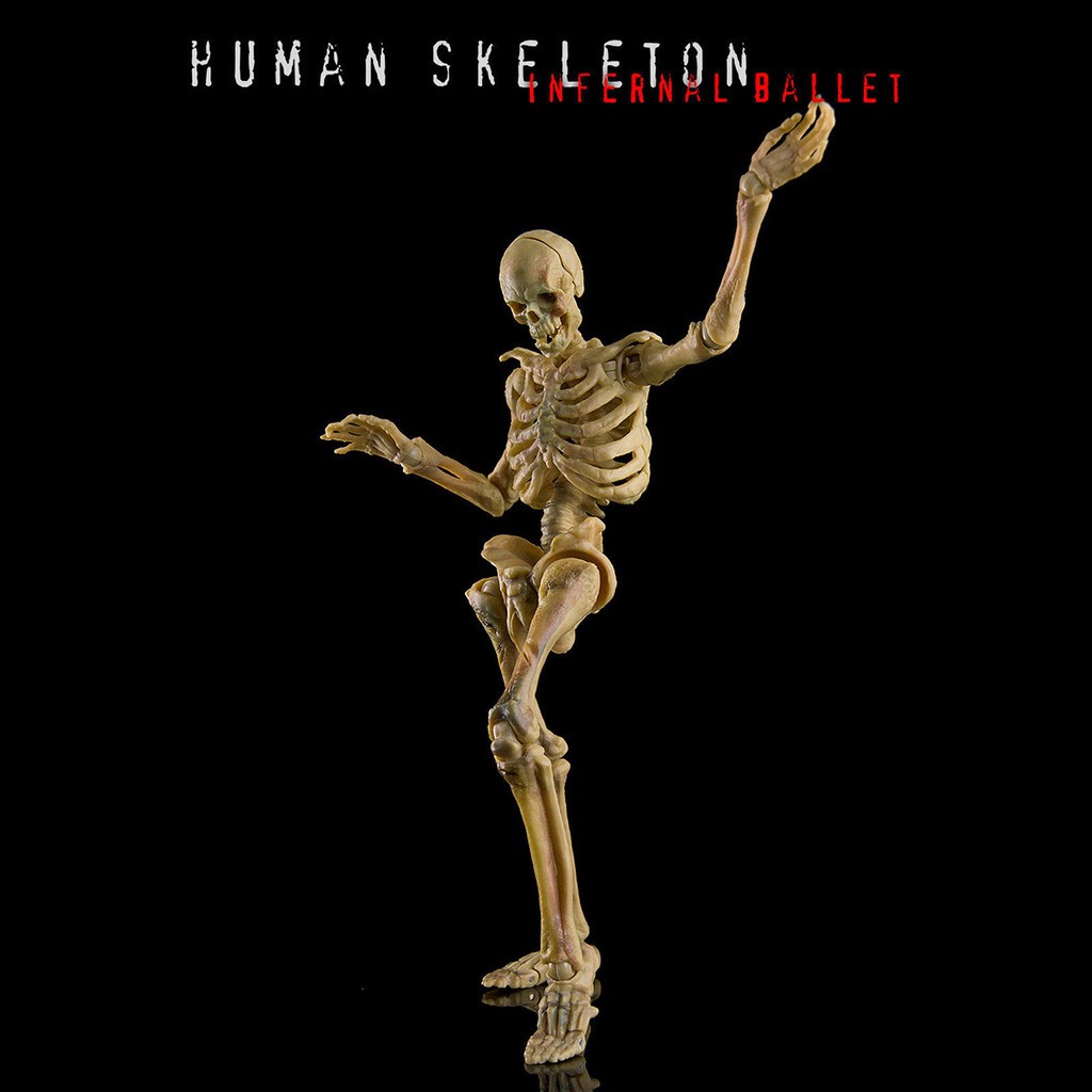 HIPLAY KEEPGOING Biology Classroom Human Skeleton Articulated Model 1/12 Figure