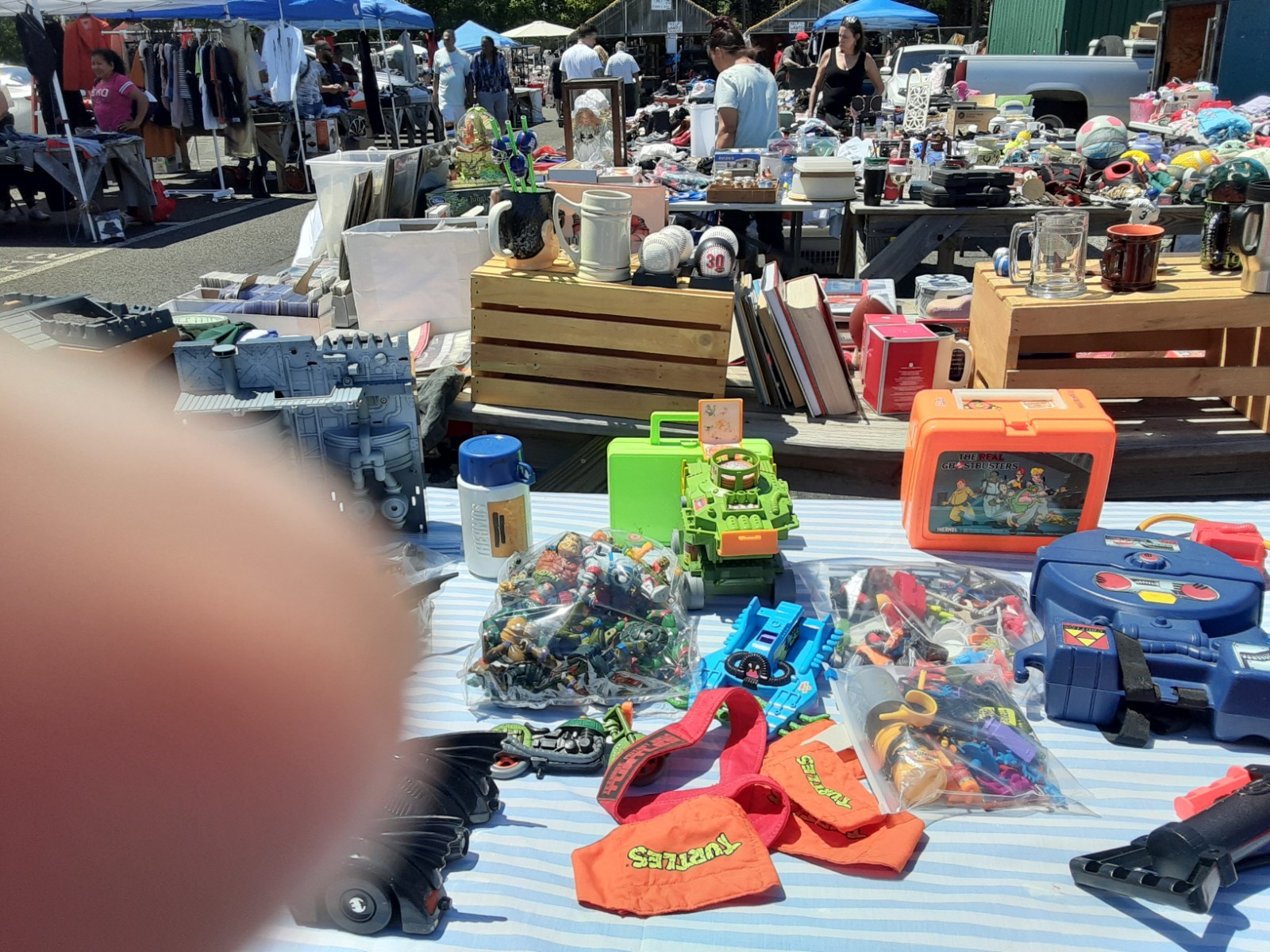 ENTIRE NINJA TURTLE COLLECTION
