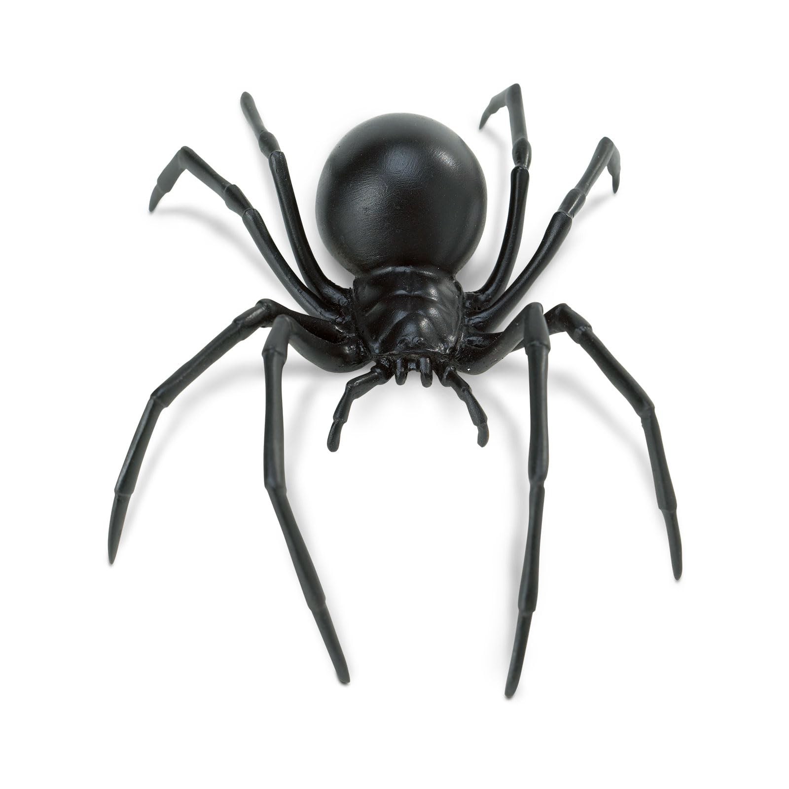 Safari Ltd. Black Widow Spider Figurine – Realistic 6.5&Prime; Arachnid Figure – Ed…