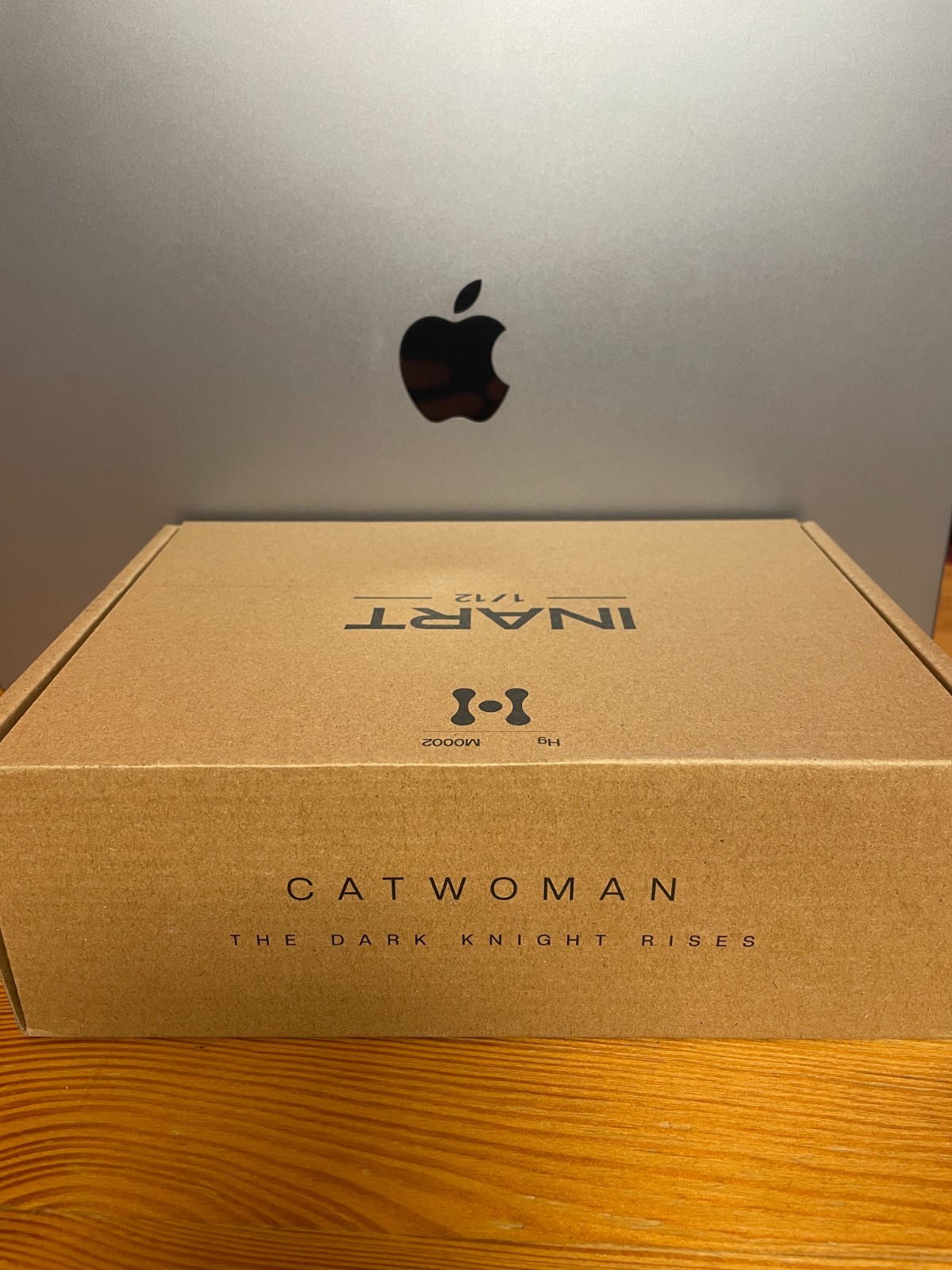 🇺🇸 InArt DC Comics Dark Knight Rises Catwoman 1/12 M0002, New, same day ship