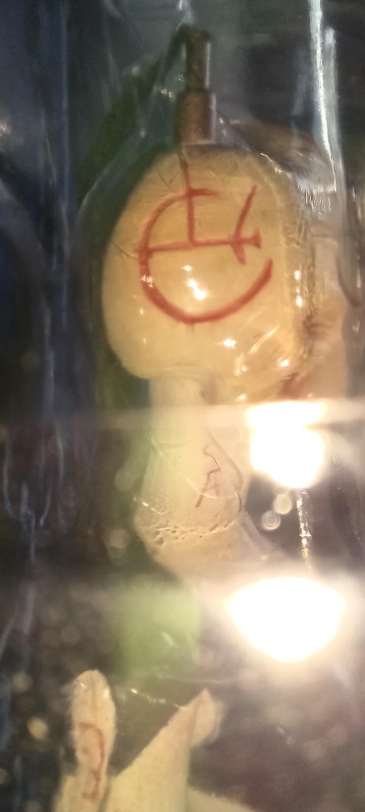 Wire Twin female from the Hellraiser Series one action figures.