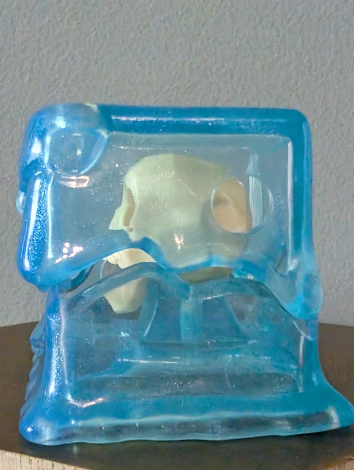 Gelatinous Cube – Dungeons & Dragons D&D Questers, Vinyl (Creature) Skull