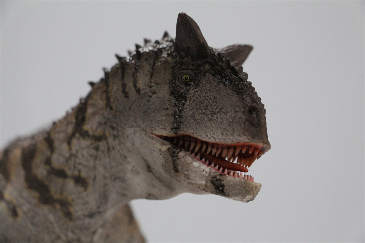 MEMORY MUSEUM 1/15 Carnotaurus Limited Edition Dinosaur Model Figure Toys Gift